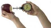 Fruit Tester